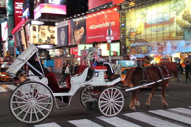 horse-carriage-tour-in-new-york-citys-central-park-small-loop