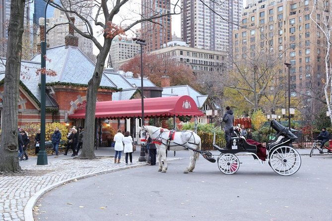 horse-carriage-tour-in-new-york-citys-central-park-small-loop