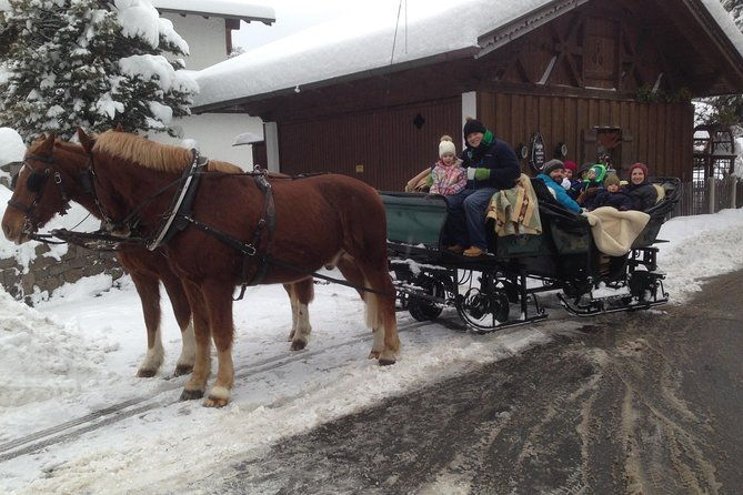 horse-carriage-tour-of-garmisch-partenkirchen