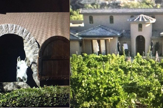 horse-country-estate-and-vineyard-wine-tasting-tour