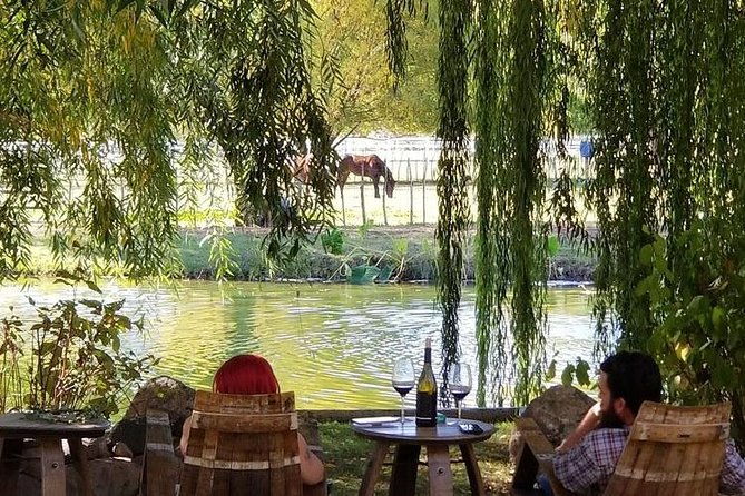 horse-country-estate-and-vineyard-wine-tasting-tour