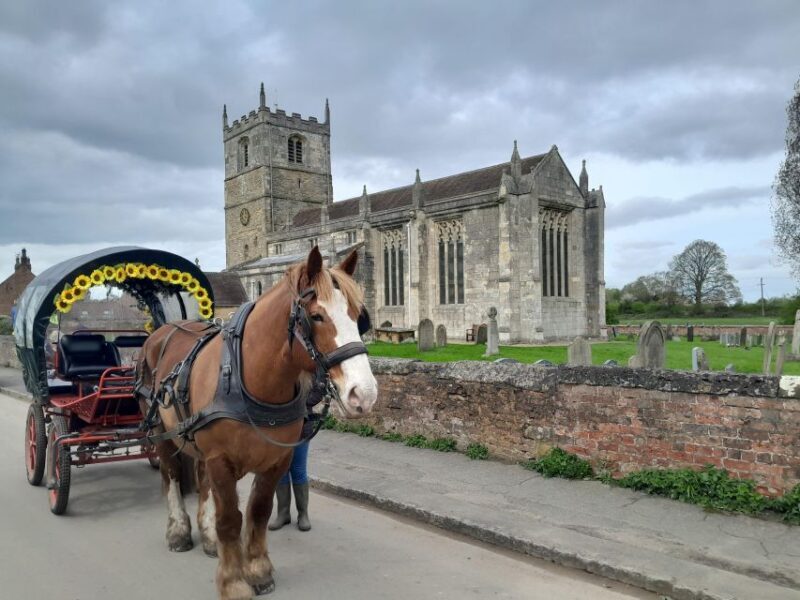 Horse drawn carriage ride and Picnic Hamper - The Experience in Detail