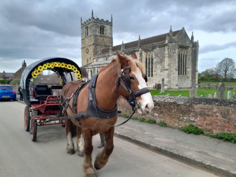 Horse drawn carriage ride and Picnic Hamper - Final Thoughts