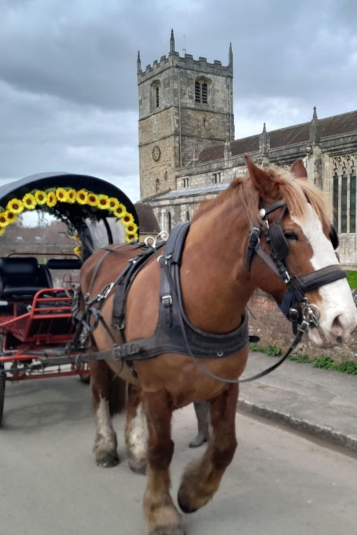 horse-drawn-carriage-ride-and-picnic-hamper