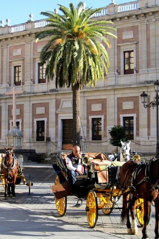 horse-drawn-carriage-ride-through-seville-3