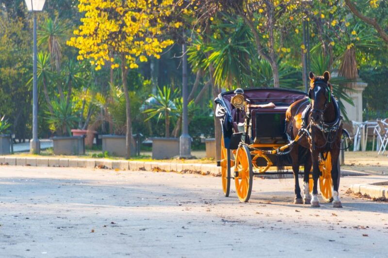 horse-drawn-carriage-ride-through-seville-3