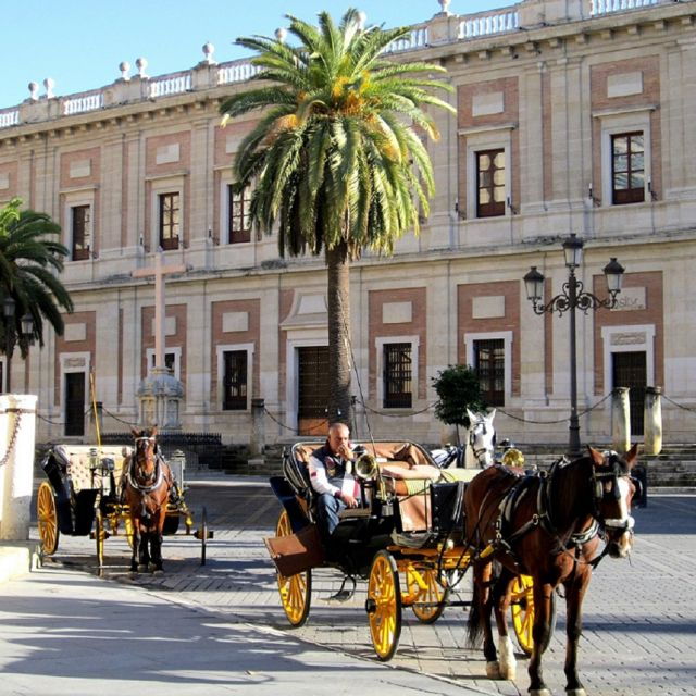 horse-drawn-carriage-ride-through-seville-3