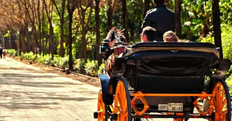 horse-drawn-carriage-ride-through-seville-3