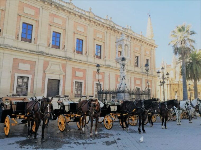 horse-drawn-carriage-ride-through-seville-3