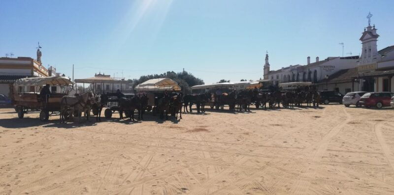 horse-drawn-carriage-route-through-donana-park-and-the-villa