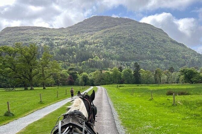 Horse-Drawn Carriage Tours in Killarney - Final Thoughts: Is It Worth It?