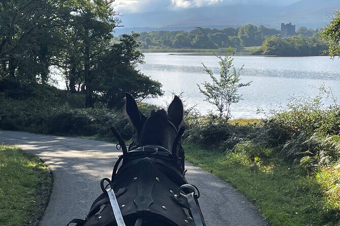 Horse-Drawn Carriage Tours in Killarney - Final Words