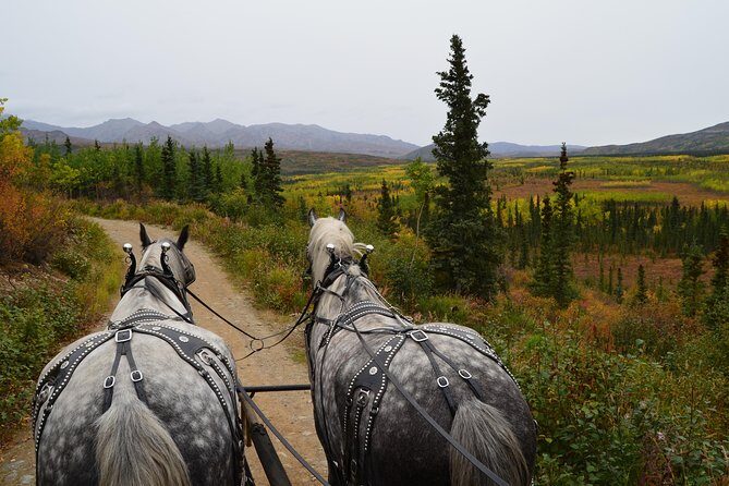 Horse-Drawn Covered Wagon Ride with Backcountry Dining - Authenticity & Unique Aspects
