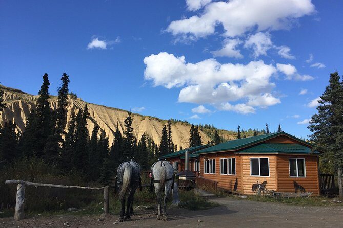 Horse-Drawn Covered Wagon Ride with Backcountry Dining - Who Will Love This Tour?
