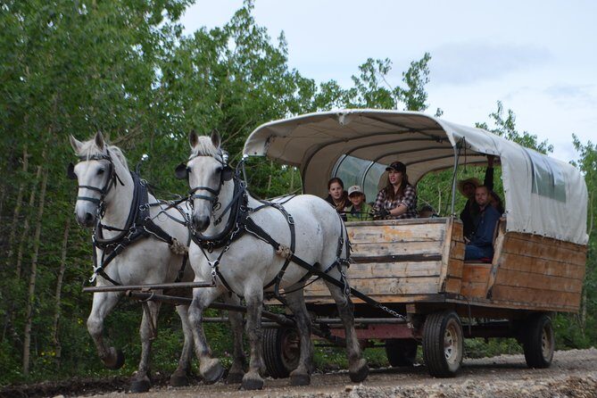 Horse-Drawn Covered Wagon Ride with Backcountry Dining - Frequently Asked Questions (FAQs)
