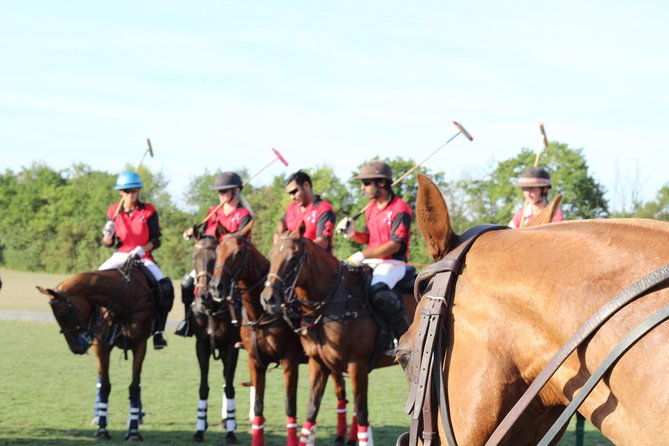 horse-polo-in-windsor-uk