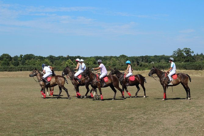 horse-polo-in-windsor-uk