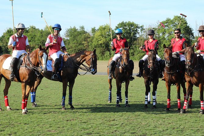 horse-polo-in-windsor-uk