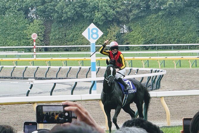 Horse Racing Tour with Local Fans in Tokyo - An In-Depth Look at the Horse Racing Tour