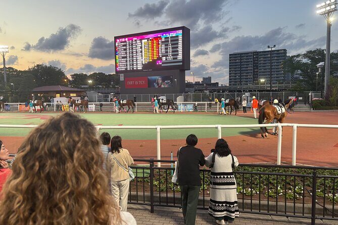 Horse Racing Tour with Local Fans in Tokyo, Oi Racecourse - Horse Racing Tour with Local Fans in Tokyo, Oi Racecourse: An In-Depth Review