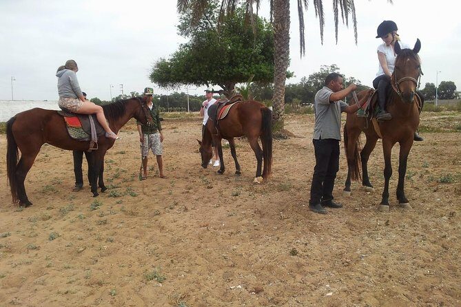 Horse Ride at the Marrakech Desert - Key Points