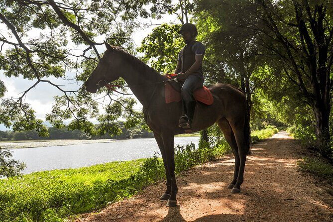 Horse Ride Experience from Sigiriya - What to Expect on the Horse Ride Tour