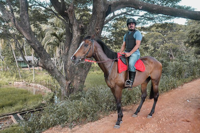 Horse Ride Experience from Sigiriya - The Sum Up