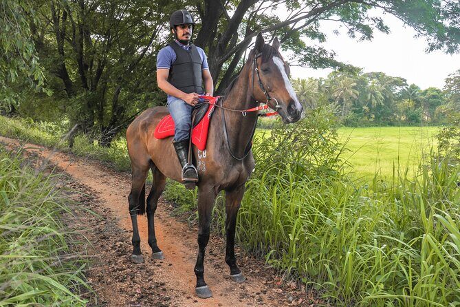 Horse Ride Experience from Sigiriya - FAQ