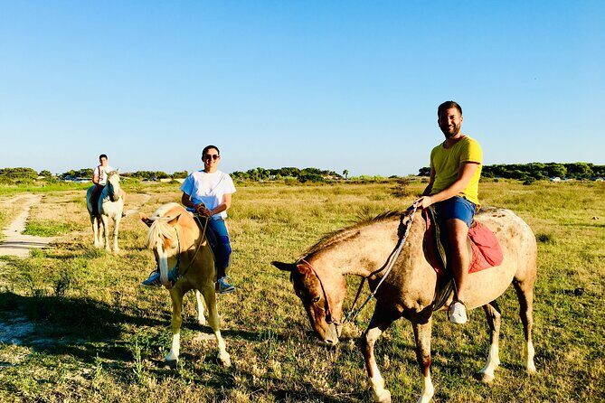 Horse ride in a Salento Nature Reserve with transfer from Lecce - What You Can Expect from This Horseback Adventure