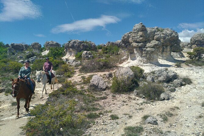 Horse ride in Haute Provence Luberon and Forcalquier - What to Expect from Your Horseback Ride in Haute Provence