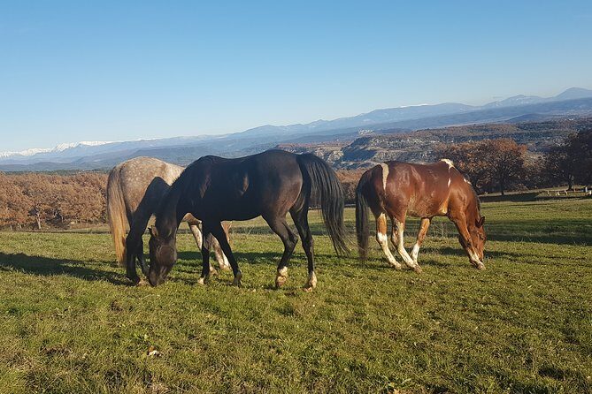 Horse ride in Haute Provence Luberon and Forcalquier - FAQ