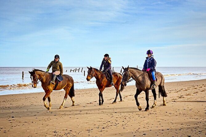 Horse Ride in Taghazout or Agadir - Discovering the Experience: What to Expect