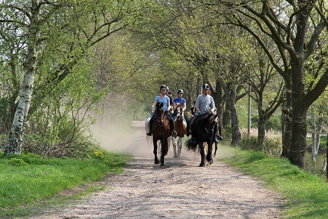 Horse Ride in Taghazout or Agadir - Final Thoughts