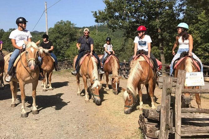horse-ride-in-the-mugello-transfer-from-to-florence-and-tuscan-aperitif