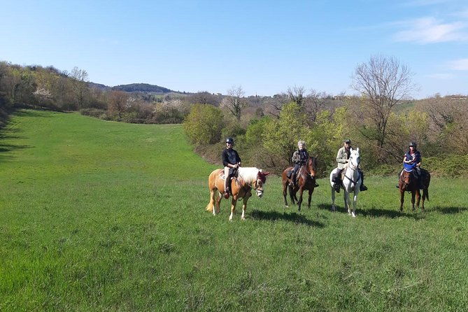 horse-ride-olive-oil-and-local-foods-tasting-in-a-tuscan-farm