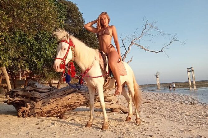 Horse Ride On The Beach Gili Islands - Who Will Enjoy This Experience?