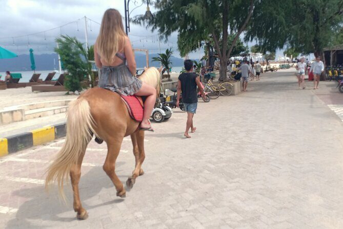 Horse Ride On The Beach Gili Islands - The Itinerary: What to Expect from the Ride