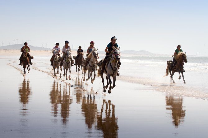 Horse Ride on the Beach in Essaouira - What to Expect from the Horseback Riding Tour in Essaouira