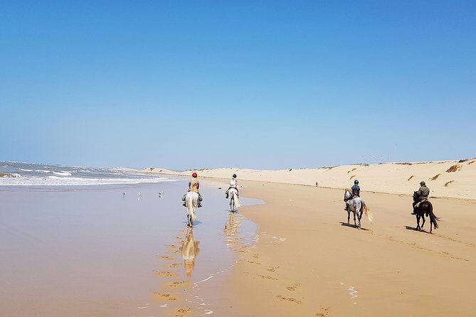 Horse Ride on the Beach in Essaouira - The Practicalities: Pricing, Timing, and Logistics