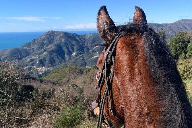 horse-ride-on-the-coast-of-monterosso-al-mare-cinque-terre