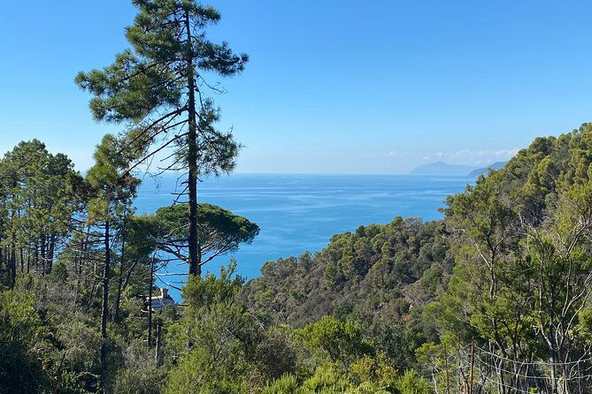 horse-ride-on-the-coast-of-monterosso-al-mare-cinque-terre