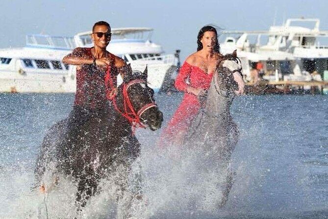 Horse Ride Trip , Bedouin Dinner And Show - Sharm El Sheikh - Who Should Book This Tour?