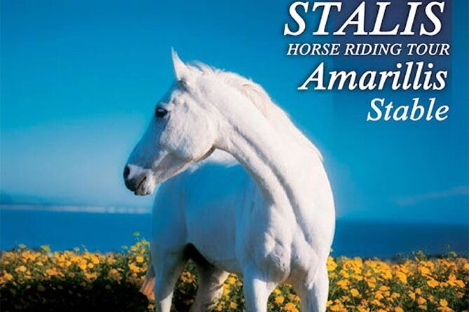 horse-riding-1-5-hours-mountains-from-area-hersonissos-crete