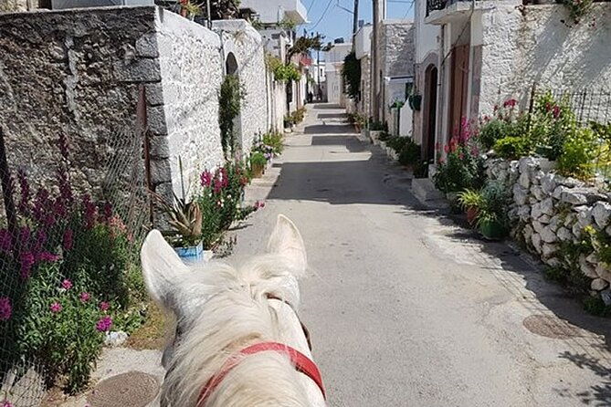 horse-riding-1-5-hours-mountains-from-area-hersonissos-crete