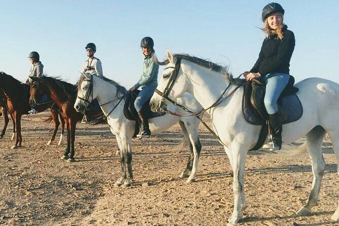 Horse Riding 1-Hour Adventure Trip With Transfer - Hurghada - Key Points