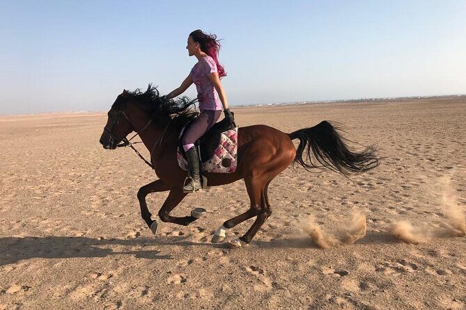 Horse Riding 1-Hour Adventure Trip With Transfer - Hurghada - The Trail: Desert and Seaside