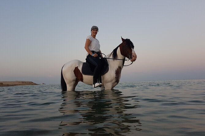 Horse Riding 2 Hours & Relaxation Turkish Bath & Sauna - Hurghada - A Balanced Look at the Horse Riding & Turkish Bath Experience in Hurghada