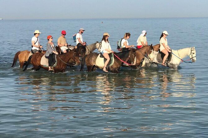 Horse Riding 3 Hours Desert Beach Swimming by horse in Hurghada - Key Points  