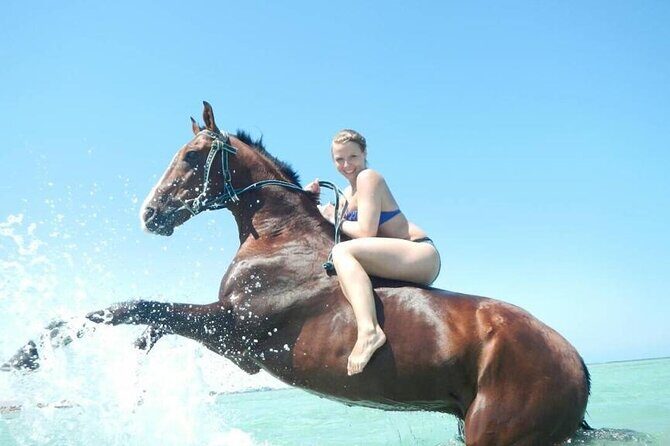 Horse Riding 3 Hours Desert Beach Swimming by horse in Hurghada - What to Expect from the Horse Riding Tour in Hurghada