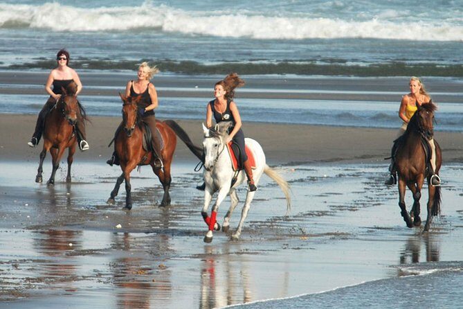 Horse Riding 30 minutes At Black Sand Beach and Ubud Tour - Key Points